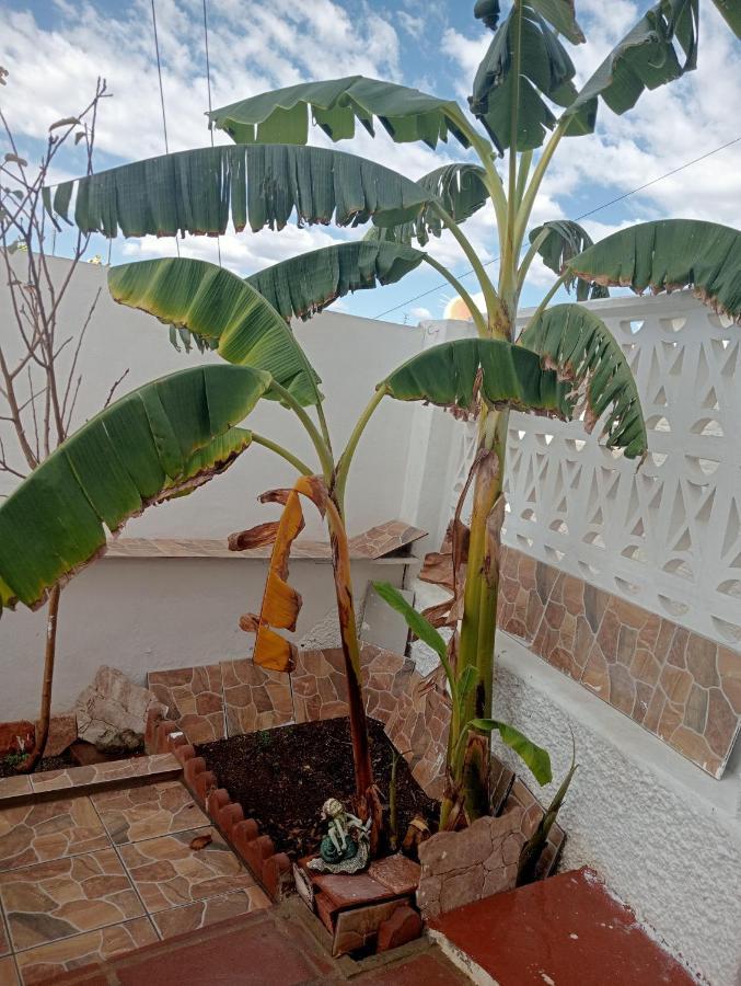 Apartamento Paraiso Del Sol Benajarafe Exterior foto